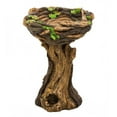 thumbnail image 1 of Plow & Hearth Succulent Bird Nest Tree Stump Birdbath, 1 of 5