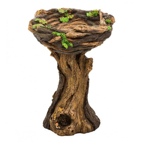 Plow & Hearth Succulent Bird Nest Tree Stump Birdbath