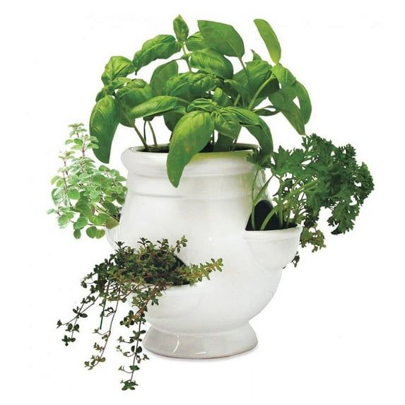 Plow & Hearth Windowsill Herb Garden Kit