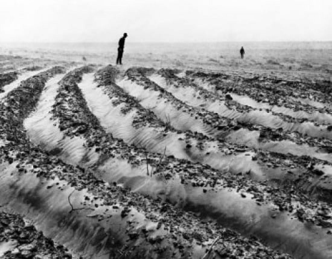 Plowed field Missouri USA Canvas Art - (18 x 24)