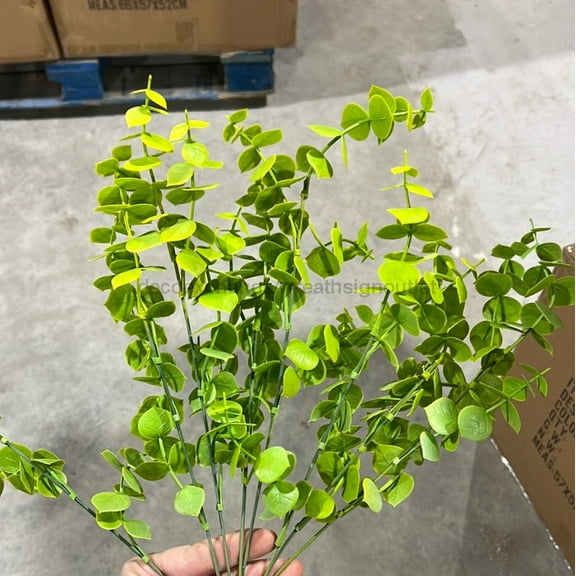 Pls Euc Bush X 8 Yel  57903