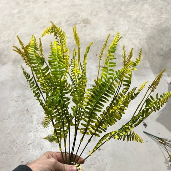 Pls Fern Bush X 8 Yel  57803