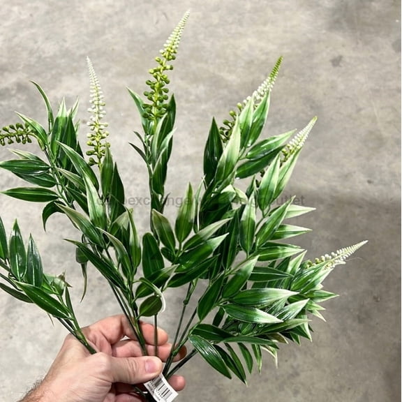 Pls Mix Veronica X8 Crm  57894