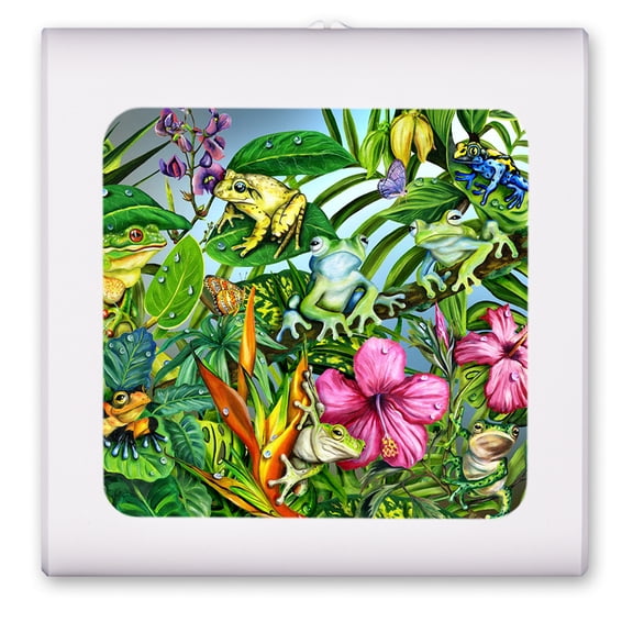 Plug in Dimmable LED Night Light with Dusk to Dawn Auto Sensor, Adjustable Brightness, Warm Light, Auto On/Off Nightlight for Bathroom, Hallway, Nursery, Bedrooms - Frog Party Frog