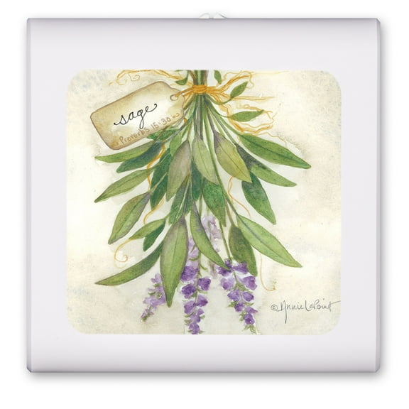 Plug in Dimmable LED Night Light with Dusk to Dawn Auto Sensor, Adjustable Brightness, Warm Light, Auto On/Off Nightlight for Bathroom, Hallway, Nursery, Bedrooms - Sage