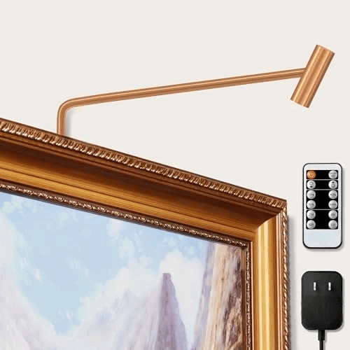 Plug in Picture Light Dimmable Art Lights for Paintings Remote Control 3000K Picture Frame Light with Timer CRI 90 LED Picture Lights for Wall Display Artwork Portrait Gallery, Copper Body