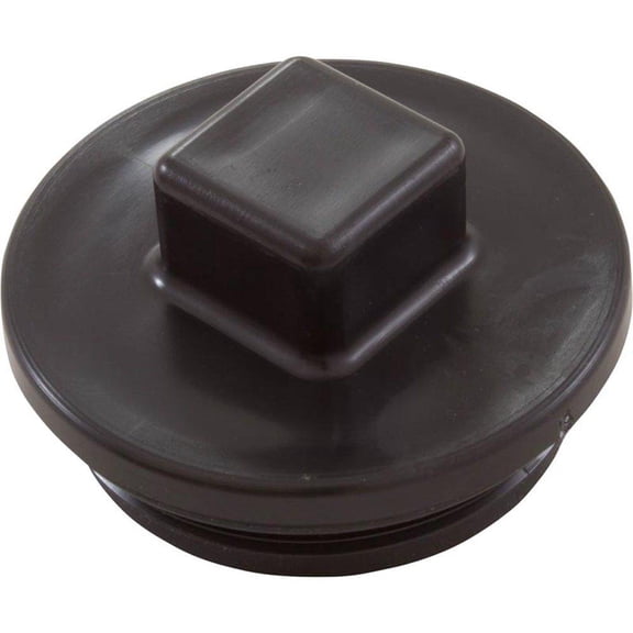 Plug Pipe Cleanout 2in Mpt Abs