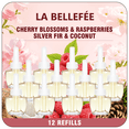 thumbnail image 1 of Plug-in Air Refills Freshener Refills, 12 Count, Cherry Blossom Raspberry Silver Fir Coconut Scents, Spring Summer Home Fragrance for Living Room Bedroom Bathroom, Compatible with Air Wick Glade, 1 of 7