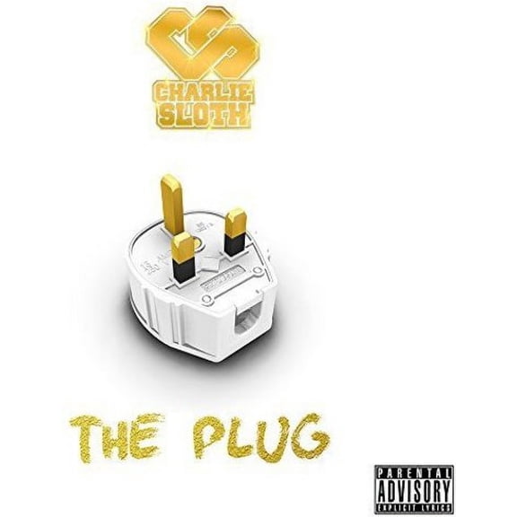 Plug