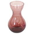 thumbnail image 1 of Plum Bulb Forcer Vase Plant, 1 of 1