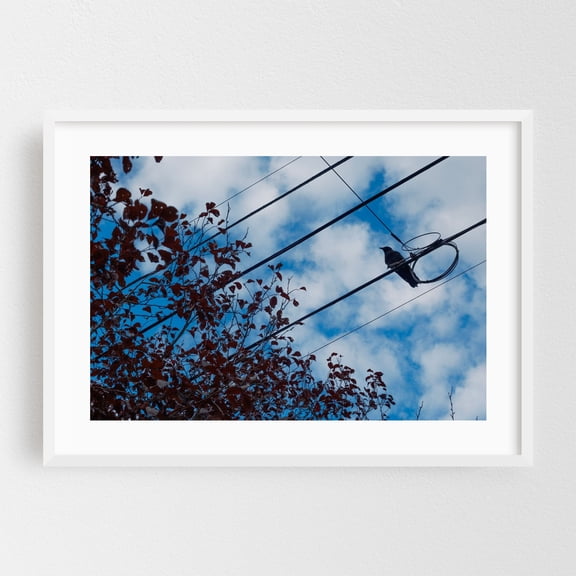 Plum Crow - Portland Oregon Photography Bird Silhouette Nature Autumn Botanical White Framed Wall Art Print 16 x 24 inches
