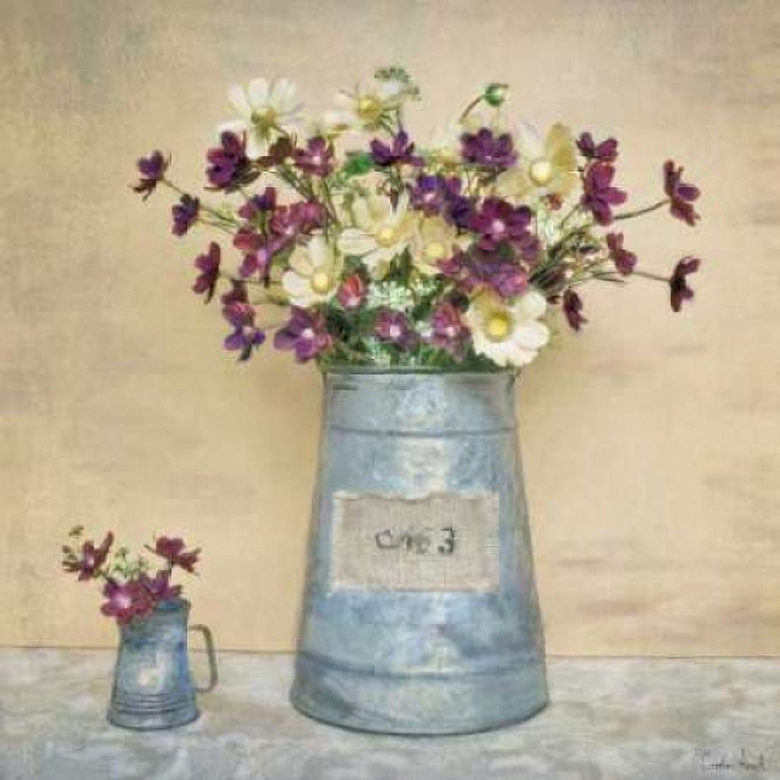 Plum Daisies Canvas Art - Cristin Atria (24 x 24)