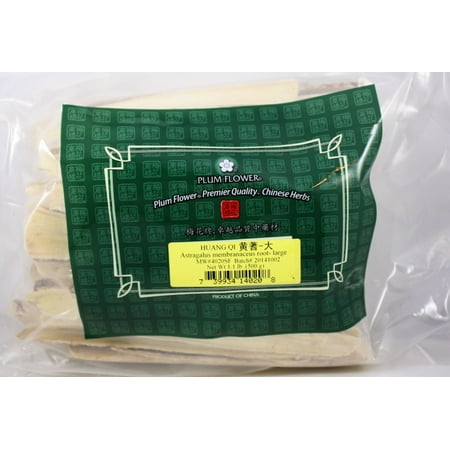 Plum Flower Astragalus Root Huang Qi Large Pieces 1 lb Bulk Herbs