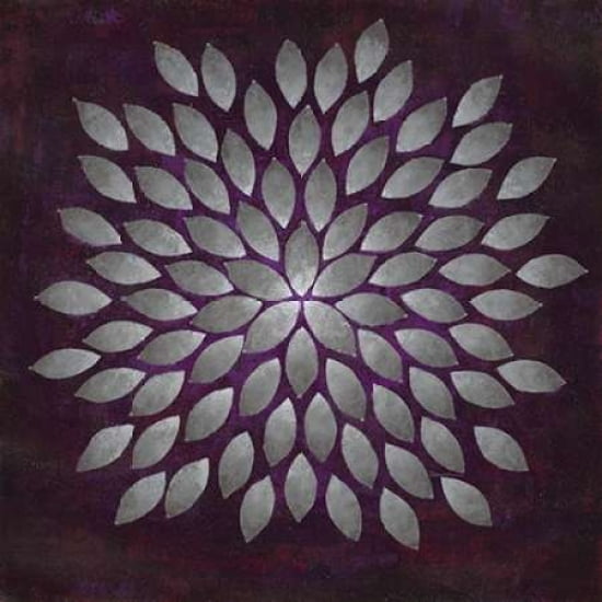 Plum Star Burst 2 Canvas Art - Dennis Dascher (24 x 24)