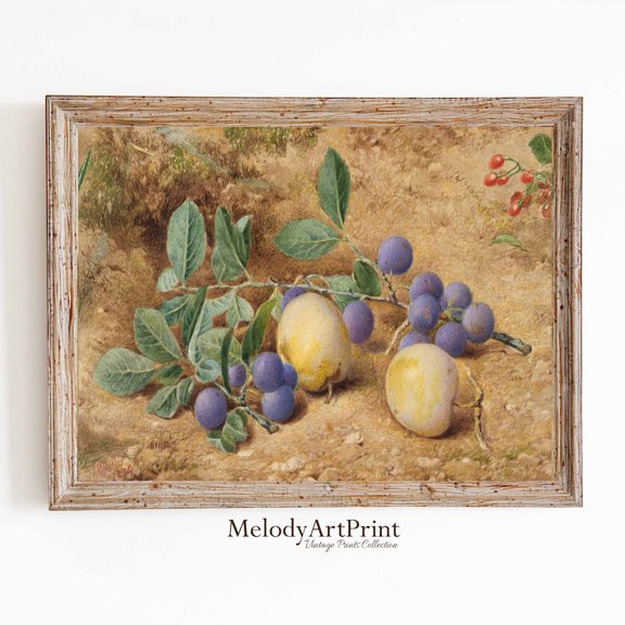Plum Still Life Wall Art Print, Vintage Kitchen Fruit Decor