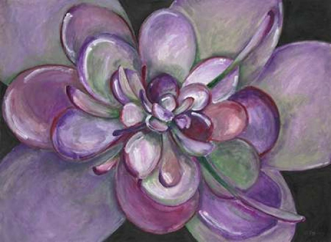 Plum Succulent Canvas Art - Filippo Ioco (18 x 24)