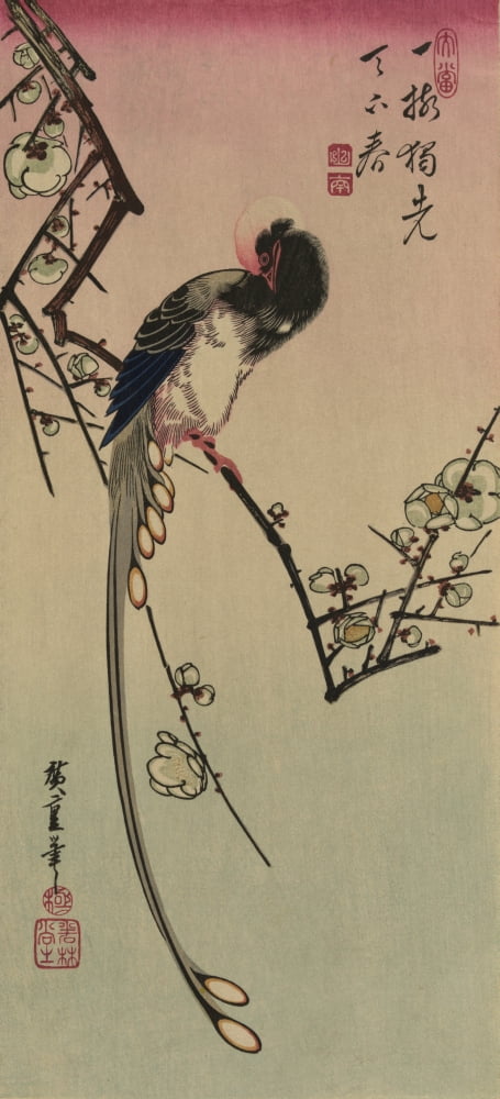 Plum blossom and magpie (long tailed cock onagadori) 1830-1858 Canvas Art - Ando Hiroshige (24 x 36)