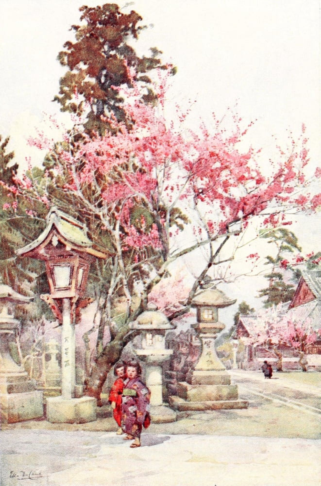 Plum blossoms & lanterns Flowers & Gardens of Japan 1908 Canvas Art - Ella Du Cane (18 x 24)