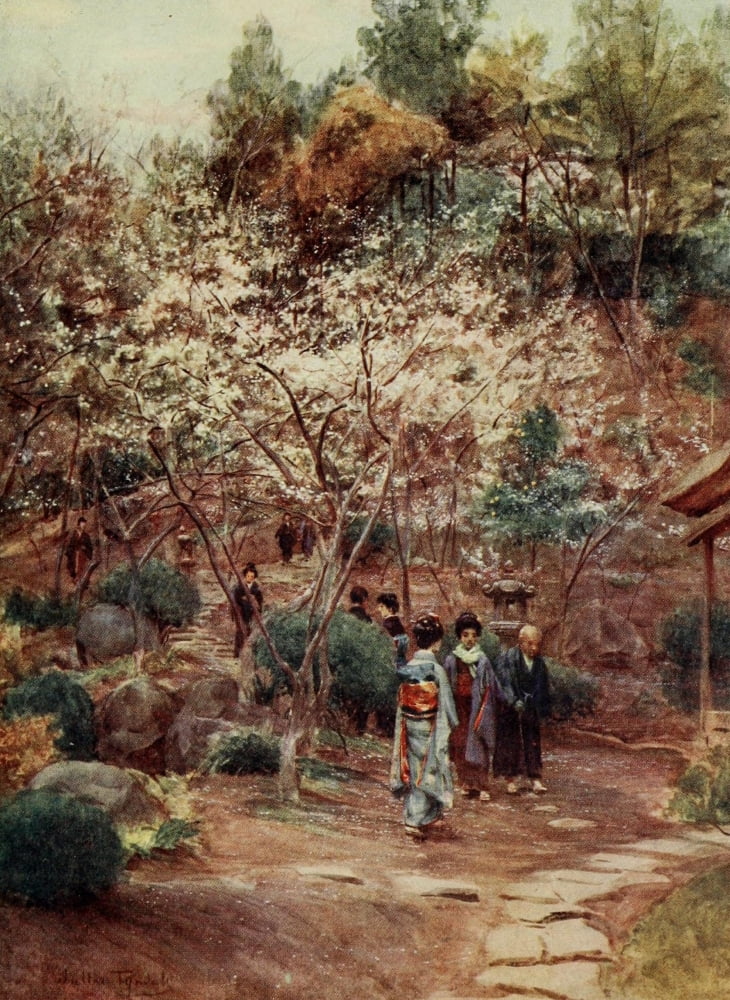 Plum trees at Atami Japanese Gardens 1912 Canvas Art - Walter Tyndale (24 x 36)