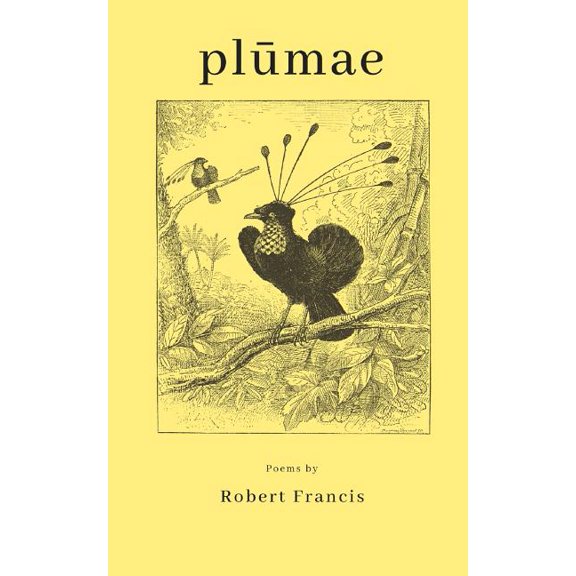 Plumae (Paperback)