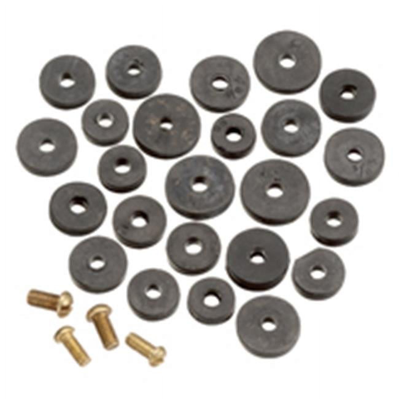 Plumb Pak PP80520 Flat Faucet Washer Assortment Rubber