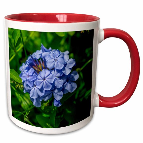 3drose, Plumbago Plant., 11oz Two-tone Red Mug