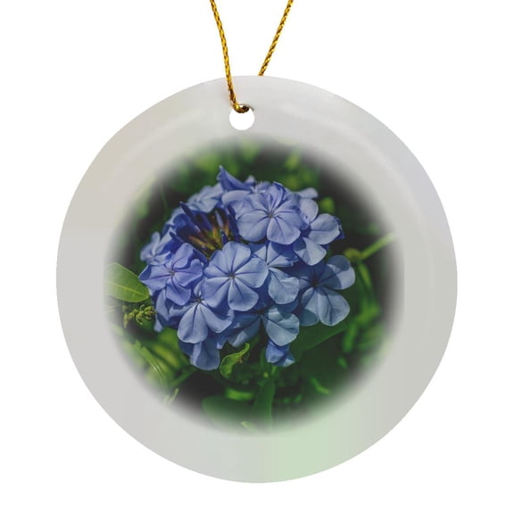 3drose, Plumbago Plant., Circle Porcelain Ornament