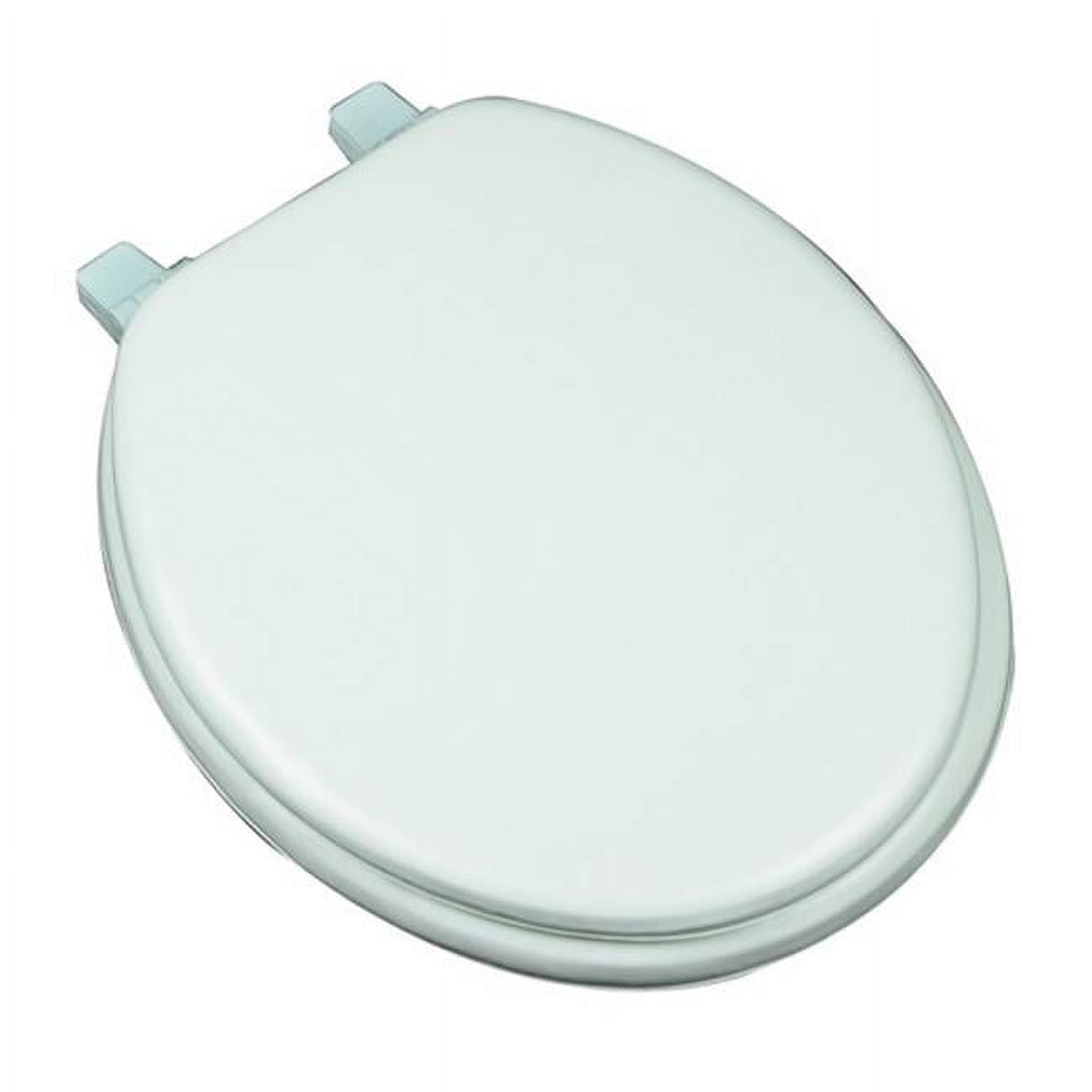 Plumbing Technologies 6F1R1-57 Deluxe Soft Round Toilet Seat, Aqua