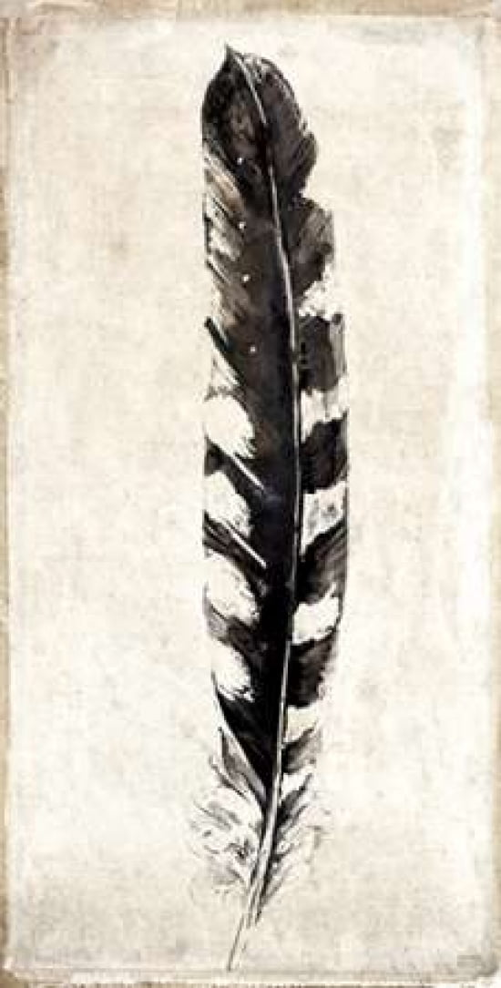 Plume Canvas Art - Symposium Design (24 x 36)