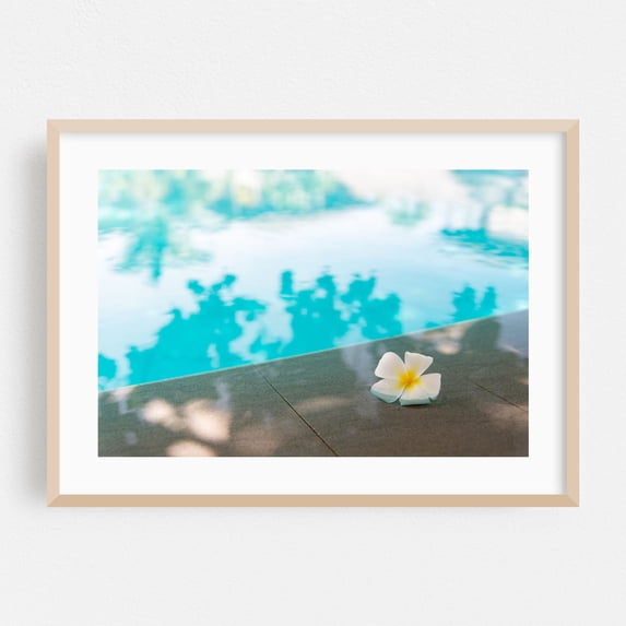 Plumeria Beside the Pool - Photography Pool Tropical Flowers Water Calm Summer Minimalist Oak Framed Wall Art Print 5 x 7 inches