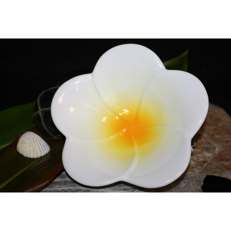 プルメリア  Hawaiian Hawaii産 Plumeria Hawaiian Yellow | Blue Current