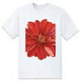 thumbnail image 1 of Plus Loose Men's T-Shirt TopDaisy (1) Graphic Tees Crew Neck Short Sleeves Casual Summer Sports Best Oversize Tee XS-5XL, 1 of 1
