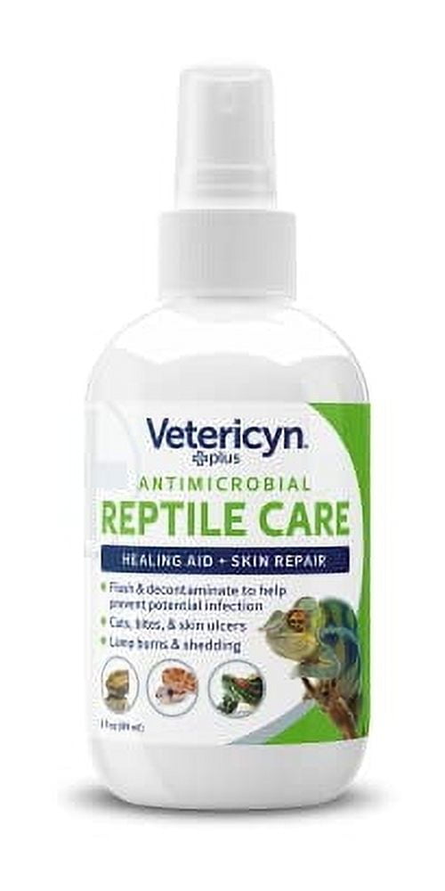 Snapshot of Reptile Skin Shedding Remedies