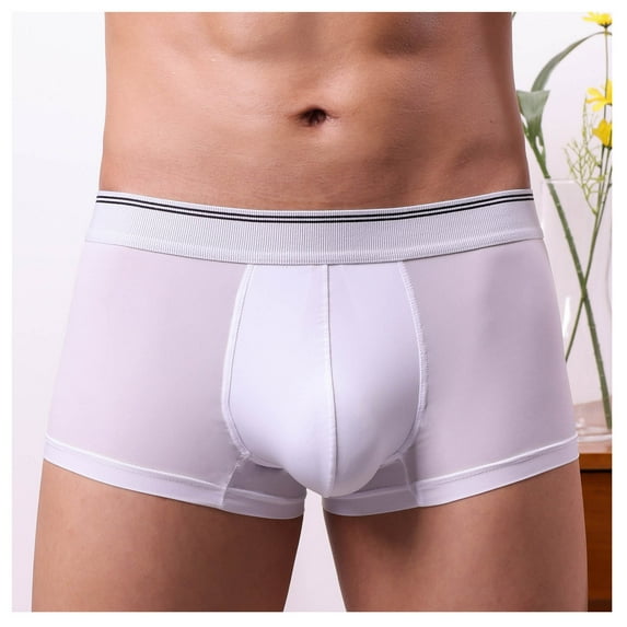 Plus Size 2XL Men's Boxer Briefs - White, Nylon Spandex, Stretchy Comfortable, Breathable for Daily Wear