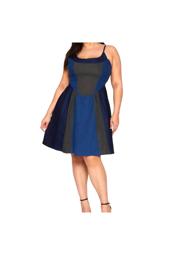 Plus Size Denim Skater Dress