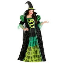Plus Size Enchanted Green Witch Costume for Women