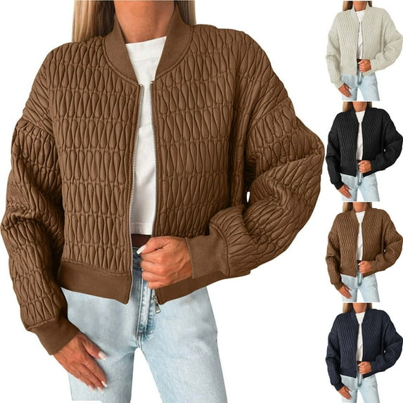 Plus Size Fleece Jackets for Womens Winter Warm Fashion Long Sleeve Embroidered Short Hoodless Zipper Solid Color Top Coat