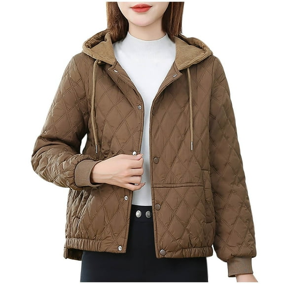 Plus Size Jackets For Women Trendy Casual Loose Solid Turn Down Collar Long Sleeved Coffee Fall And Winter Coats Jackets L-3XL