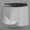 thumbnail image 1 of Plus Size Men's Boxer Briefs 2XL - Gray Polyester, Comfortable, Durable, Quick-Drying, Ribbed Elastic Waistband, 1 of 9