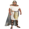 thumbnail image 1 of Plus Size Men's King Tut Costume, 1 of 10
