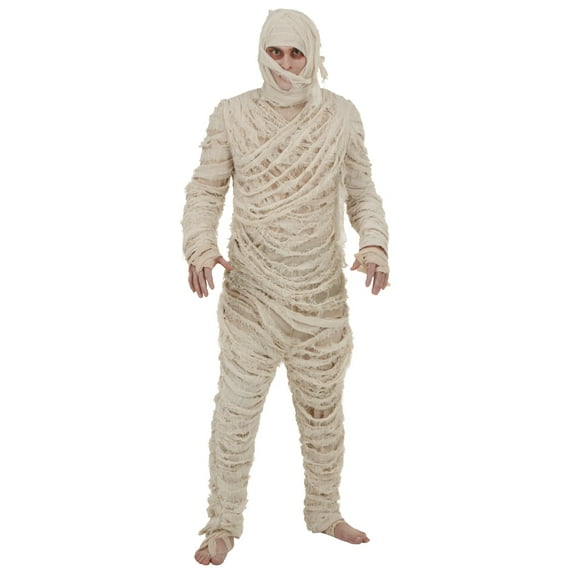 Plus Size Men's Mummy Costume
