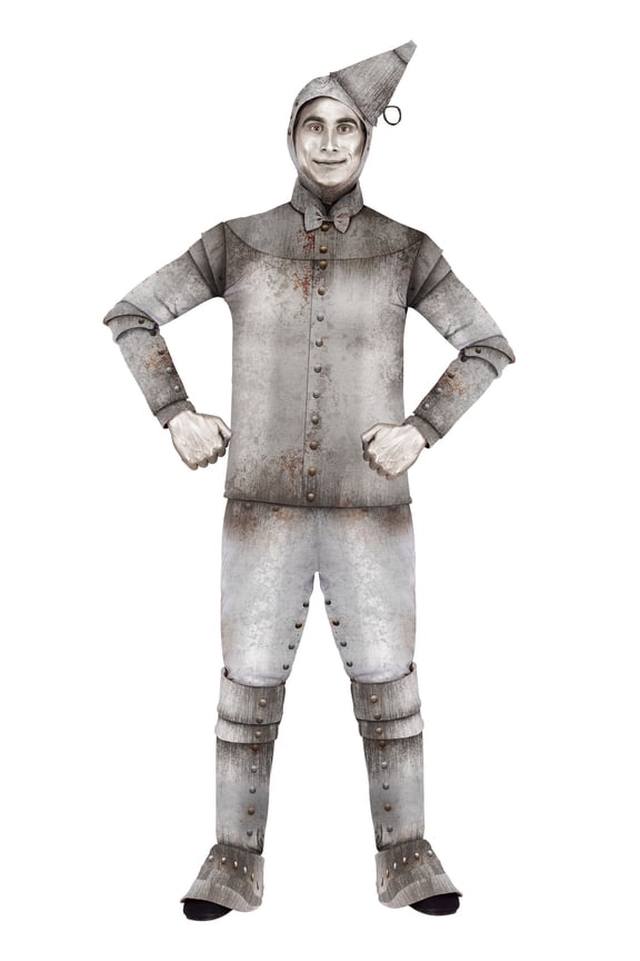 Plus Size Men's Tin Fellow Costume