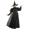 thumbnail image 1 of Plus Size Premium Wayward Witch Costume, 1 of 9