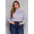 thumbnail image 1 of Womens Plus Size Ribbed Knit Long Sleeve Turtleneck Top, 1 of 3