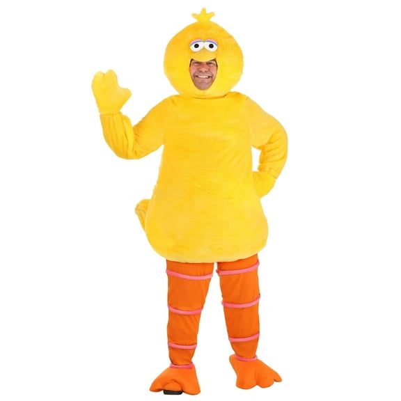 Plus Size Sesame Street Big Bird Costume