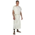 thumbnail image 1 of Plus Size Toga Costume for Men, 1 of 2