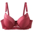 thumbnail image 1 of Plus Size Underwire Bra – Full Coverage Seamless T-Shirt Bra with Lace Trim, Ultra Soft Minimizer for Lift & Everyday Comfort, 1 of 4