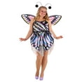 thumbnail image 1 of Plus Size Wild Wings Butterfly Costume for Women, 1 of 7