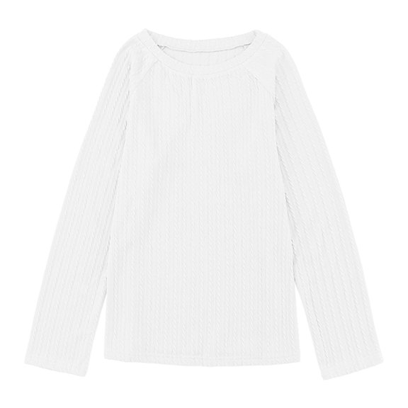 Plus Size Women's Long Sleeve Round Neck Casual Basic Tee Comfortable Stretchable Soft Fabric Loose Fit Tunic Blouse Top