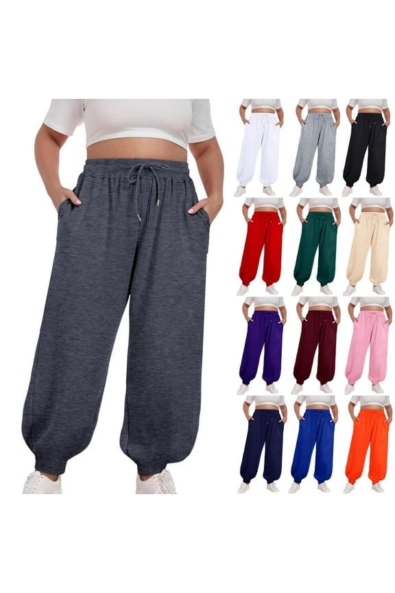 Plus Size Womens Baggy Wide Leg Pants Elastic Waist Loose Palazzo Harem Pants Loose Fit Tapered Fleece Lined Active Sweatpants with Pockets